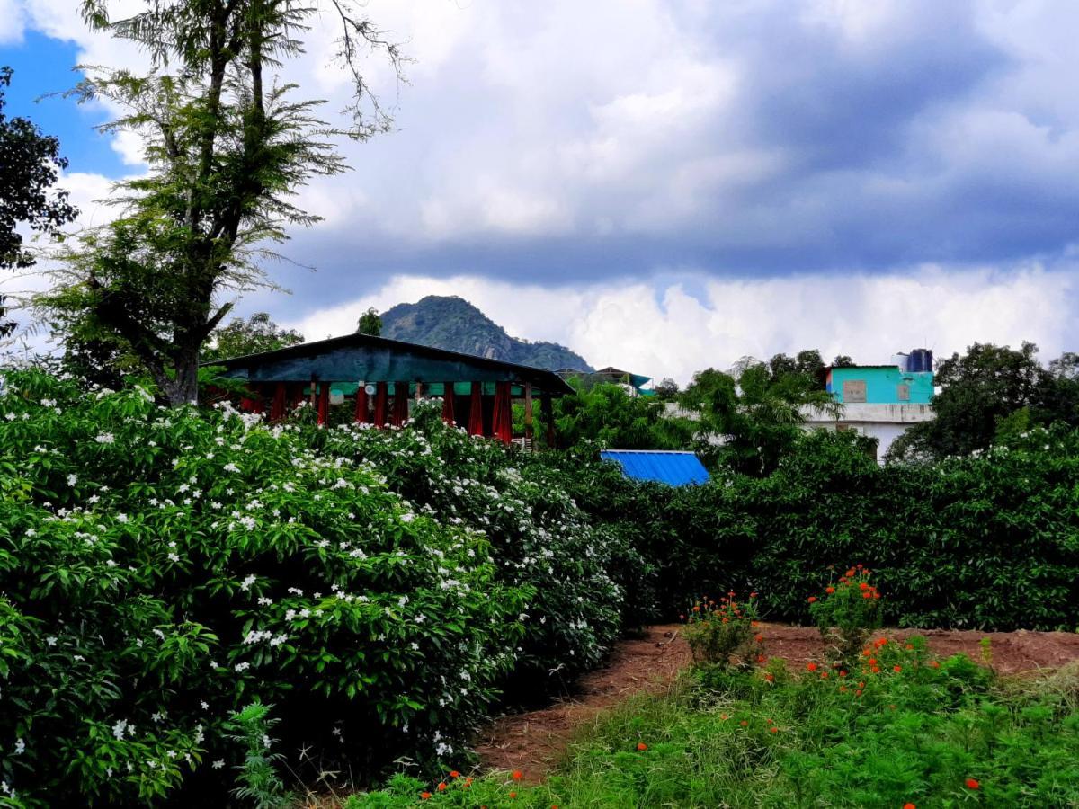 Hostel Namaste India Pushkar Zewnętrze zdjęcie