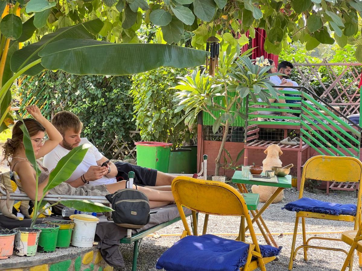 Hostel Namaste India Pushkar Zewnętrze zdjęcie