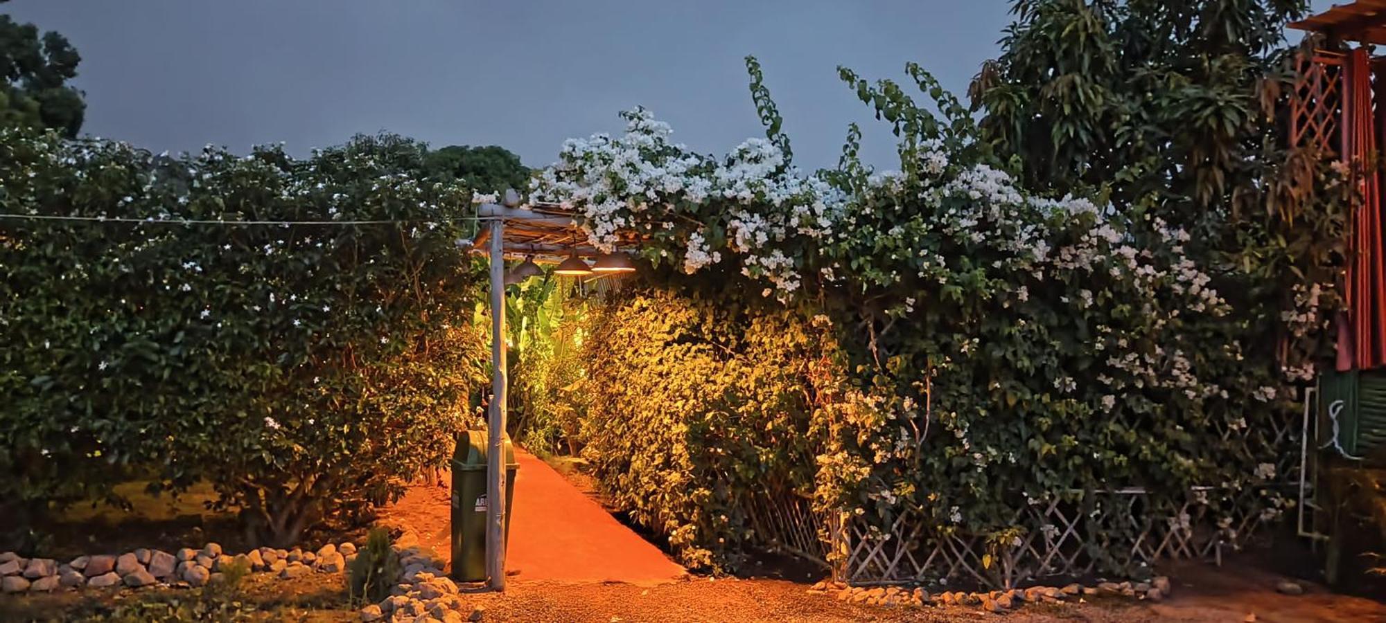 Hostel Namaste India Pushkar Zewnętrze zdjęcie