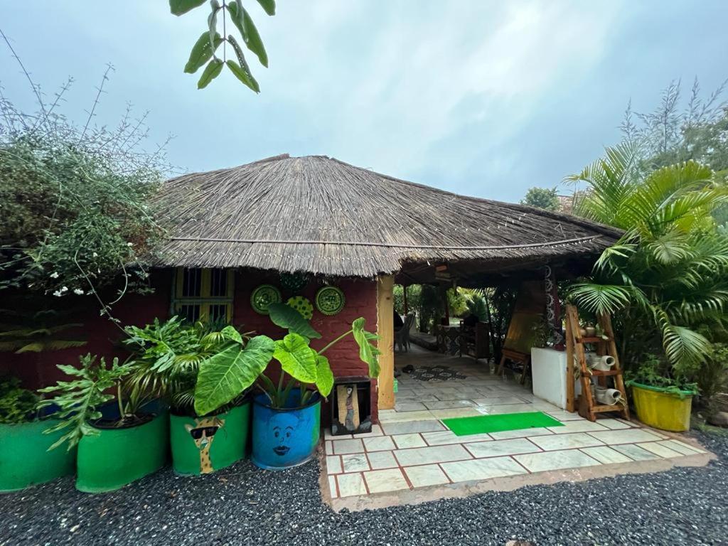 Hostel Namaste India Pushkar Zewnętrze zdjęcie